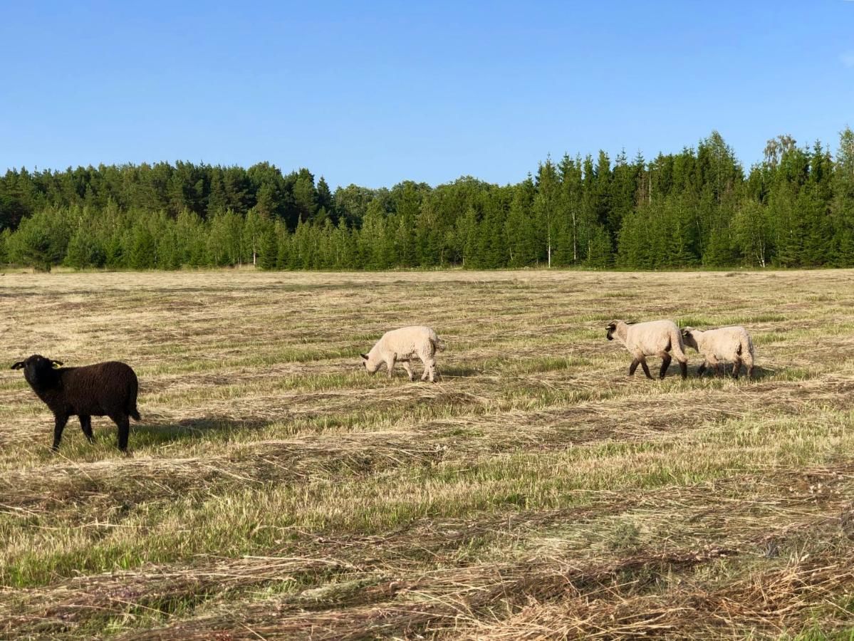 Дома для отпуска Meresassi Hiiumaa-30